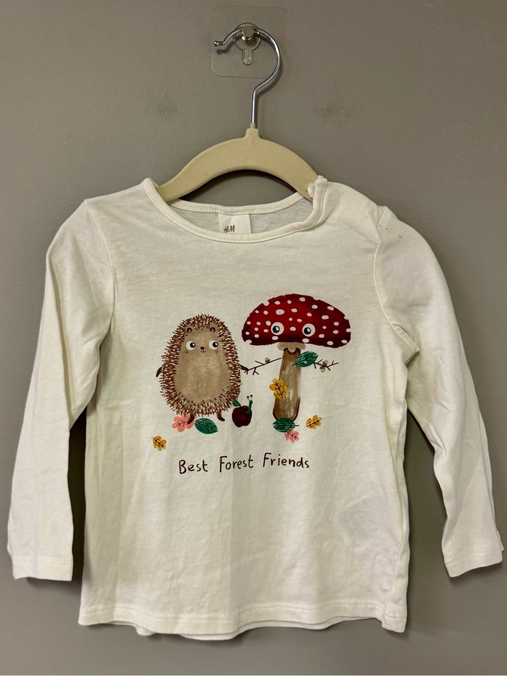 H&M Long Sleeve Tee with Hedgehog & Mushroom “Best Forest Friends” Graphic